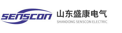 山東盛康電氣有限公司